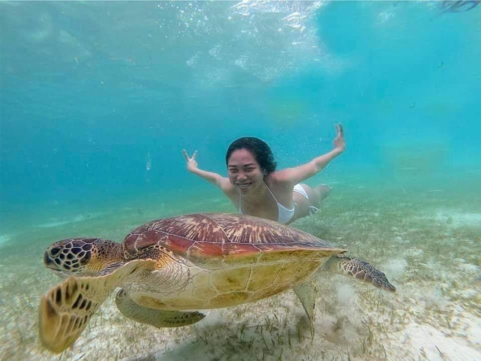 Tauig Beach Resort Moalboal Bagian luar foto