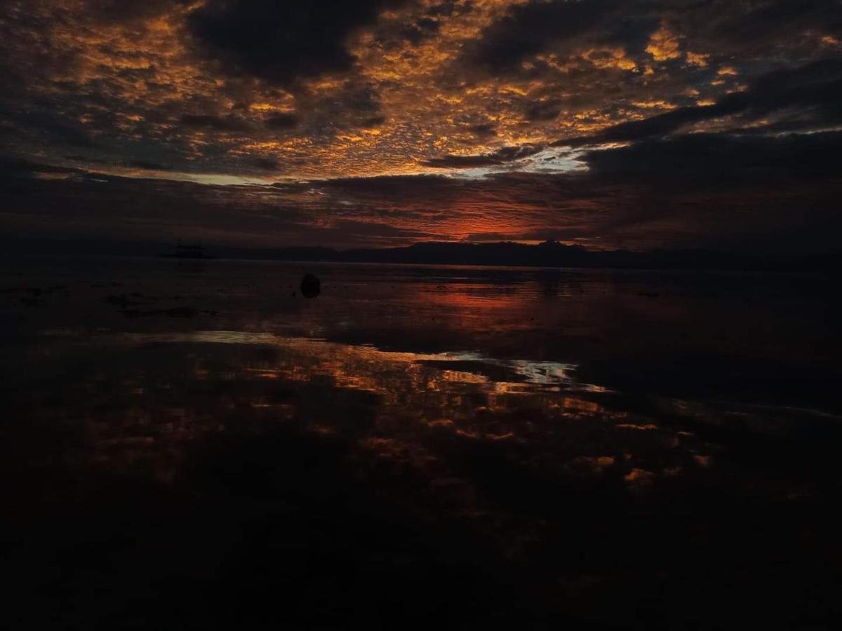 Tauig Beach Resort Moalboal Bagian luar foto