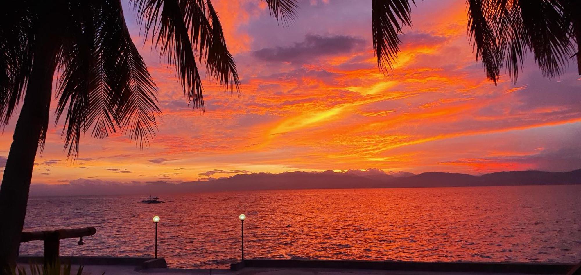 Tauig Beach Resort Moalboal Ruang foto